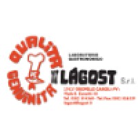 Lagost Srl logo - Similar company to Fairfild Srl