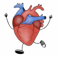 CardioGenomicsAntwerp logo - Similar company to Assomarfans