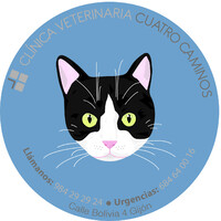 Clínica Veterinaria Cuatro Caminos logo - Similar company to Cvq Veterinarios