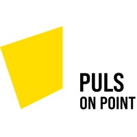 puls on point GmbH | your project. in time. on point. logo - Similar company to Education Punk Ltd.