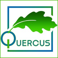 Quercus Consulting logo - Similar company to Quercus Gestion