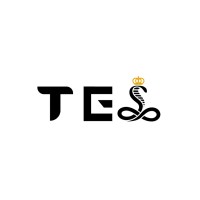 TE Solution logo - Similar company to Te Solutions Pvt Ltd