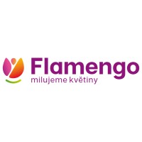 Flamengo květiny Česko a Slovensko logo - Similar company to Ano