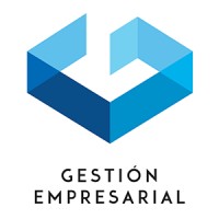 Vg Gestión Empresarial