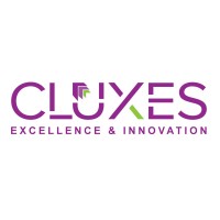 Cluxes Limited logo - Similar company to I2 Stores