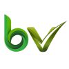 bValue Venture Limited logo - Similar company to Insight2Actions Inc.