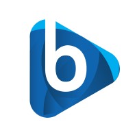 Borfin logo - Similar company to Mga Yazılım Bilgi Dağıtım Ve Danışmanlık Hizmetleri Ltd. Şti.
