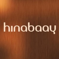 Hinabaay Interior & Design logo - Similar company to Mxl Vastgoed