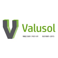 Valusol inc. logo - Similar company to Bma Reps