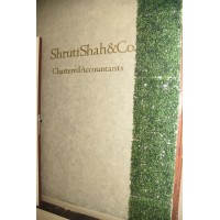 Shruti Shah & Co logo - Similar company to Aarna Foundation