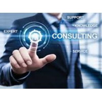 Sm Consultancy, Llc
