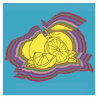 Citrus Soul logo - Similar company to Rasāsvāda