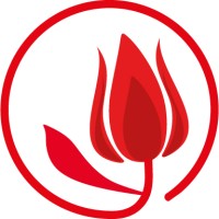 Akdemistanbul Language Center logo - Similar company to Reframe