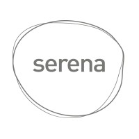 Serena logo - Similar company to Next Limit