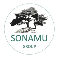 Sonamu Group logo - Similar company to Recap