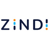 ZINDI Africa - Lesotho logo - Similar company to Hamzatronics Technologies