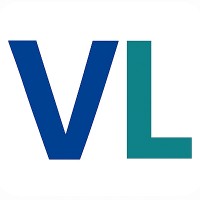 ValueLift logo - Similar company to Hivemap Ai
