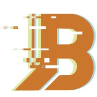 Blitz Search logo - Similar company to Allye