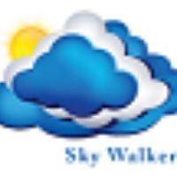 Skywalkers Advisory & Portfolio Management