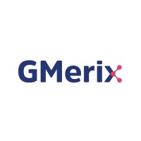 GMerix Inc logo - Similar company to Elite Cameron