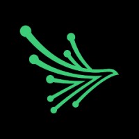 Black Kite logo - Similar company to Processunity