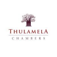 Thulamela Chambers logo - Similar company to Pitje Chambers