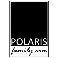 Polaris Handelsgesellschaft.mb.H logo - Similar company to Mountain Illustration