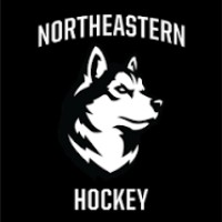 Northeastern University Men's Club Ice Hockey logo - Similar company to Hcb Foxes Südtirol Alperia