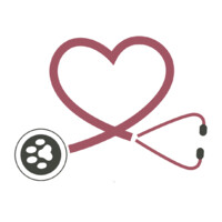 doc4pets GmbH logo - Similar company to CHEFINFO – Das Magazin der Führungskräfte