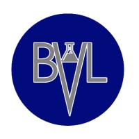 Baron Vapes Newbury logo - Similar company to Breeze Smoke