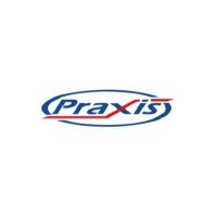 PRAXIS-EIA logo - Similar company to Proesis