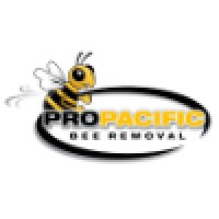 Pro Pacific Bee Removal