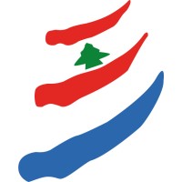 Lycée Libanais Francophone Privé Meydan logo - Similar company to Lycée Libanais Francophone Privé (Llfp)