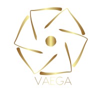 Vaega Ltd logo - Similar company to Nod Financial Technologies