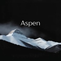 Aspen | Aceleradora de Tráfego Pago logo - Similar company to 99Tech Soluções Em Tecnologia