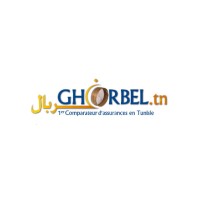 GHORBEL Assurance logo - Similar company to Assurancebird