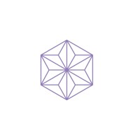 Lumina Vein & Aesthetic Institute logo - Similar company to International Vein Congress
