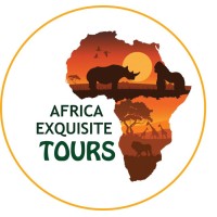 Africa Exquisite Tours logo - Similar company to King Cobra Conservancy