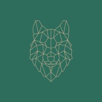 Wise Wolf Consultancy logo - Similar company to King Welsh Chartered Surveyors