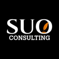 SUO CONSULTING GMBH: Globalizing Potential | Optimizing Business Growth logo - Similar company to Suo Global - Entrepreneurship I Startups I Mobility