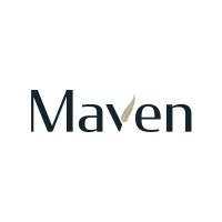 Maven Securities logo - Similar company to Mooney Solutions Inc.