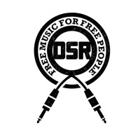 Open Source Records Ireland logo - Similar company to Commissioncrowd