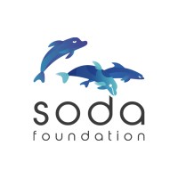 SODA Foundation logo - Similar company to Caze Labs Private Limited