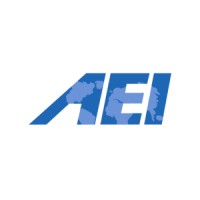 Action for Excellence International™ logo - Similar company to Schesir & Co