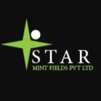 Star Mint Field Pvt Ltd logo - Similar company to Fab Nation Ind.