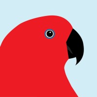 Parrot Concepts, Llc