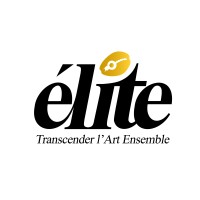 Élite237 logo - Similar company to Bimstr