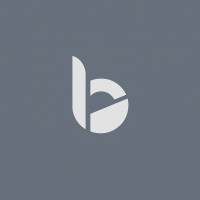 Bottrion Systems Pvt & Ltd logo - Similar company to Monika Saleta