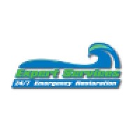 Expert Services Inc.