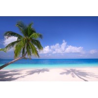 Blue Sky Mediation Services logo - Similar company to Wells Mediation Services
